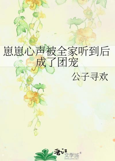 《崽崽》小说