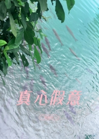 真心和假意的歌